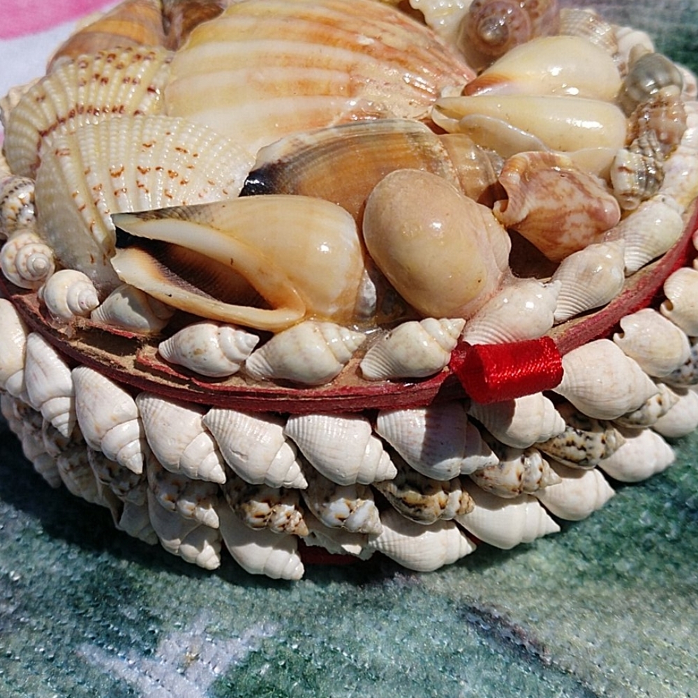 Seashell Jewelry Box - Picture 2 of 6